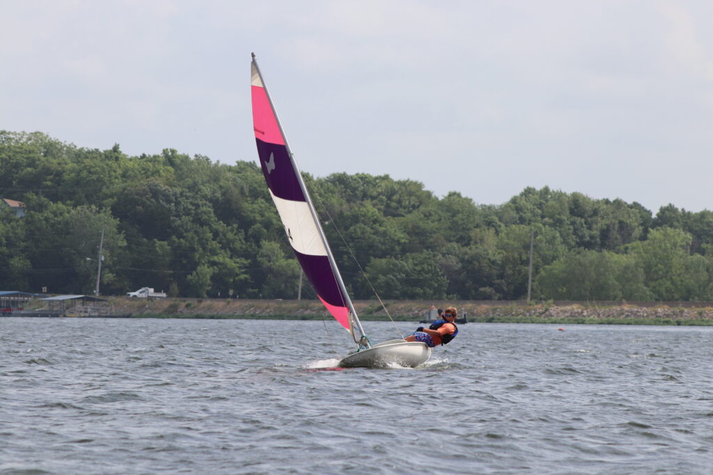 sailing butterfly
